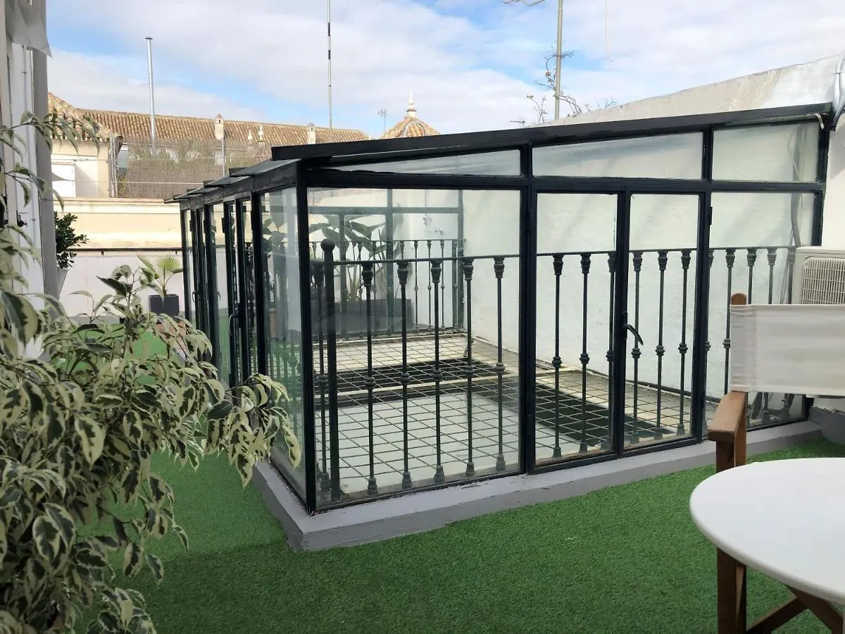 Apartment Home In Seville V33-B