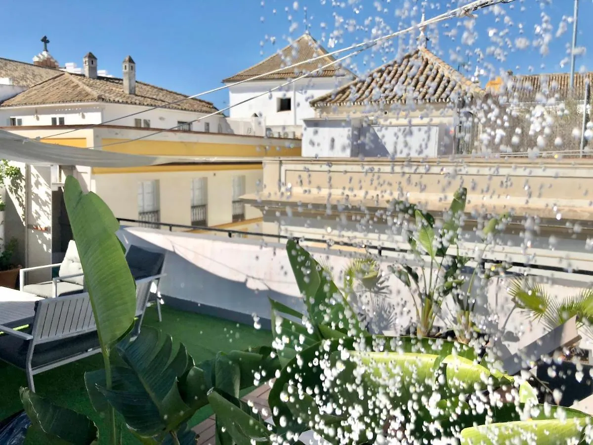 Apartment Home In Seville V33-B